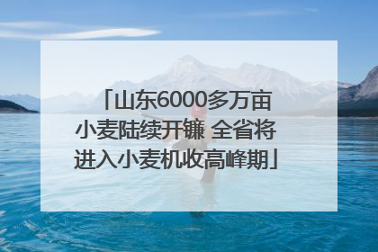 山东6000多万亩小麦陆续开镰 全省将进入小麦机收高峰期