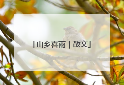 山乡喜雨｜散文