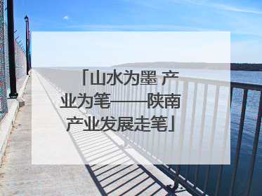 山水为墨 产业为笔——陕南产业发展走笔