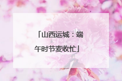 山西运城：端午时节麦收忙