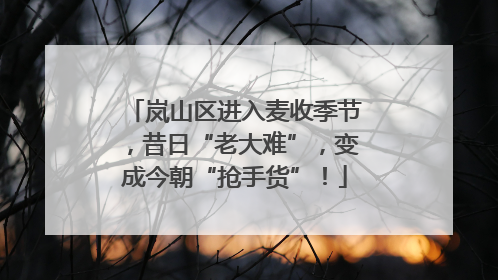 岚山区进入麦收季节，昔日“老大难”，变成今朝“抢手货”！