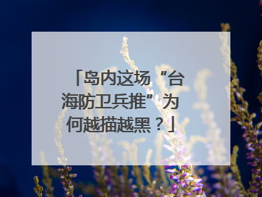 岛内这场“台海防卫兵推”为何越描越黑？