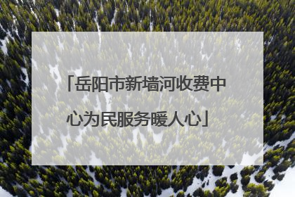岳阳市新墙河收费中心为民服务暖人心