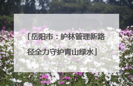 岳阳市：护林管理新路径全力守护青山绿水
