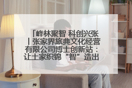 峰林聚智 科创兴张丨张家界旅典文化经营有限公司博士创新站：让土家织锦“智”造出非遗新传奇