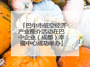 巴中市低空经济产业推介活动在巴中企业（成都）幸福中心成功举办