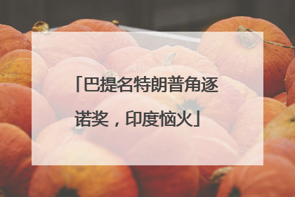 巴提名特朗普角逐诺奖，印度恼火