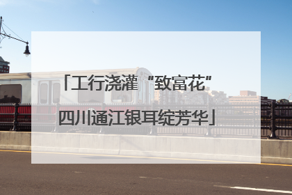 工行浇灌“致富花” 四川通江银耳绽芳华