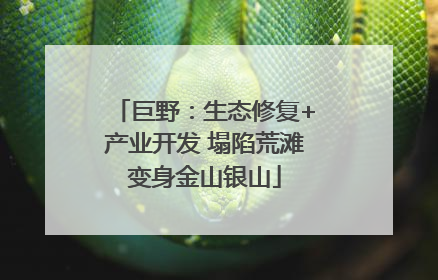 巨野：生态修复+产业开发 塌陷荒滩变身金山银山