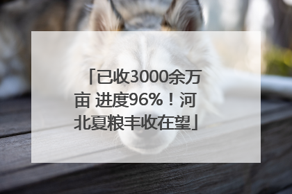 已收3000余万亩 进度96%！河北夏粮丰收在望