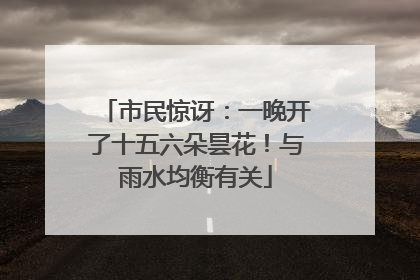 市民惊讶：一晚开了十五六朵昙花！与雨水均衡有关