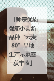 师宗优质强筋小麦新品种“云麦80”旱地生产示范喜获丰收