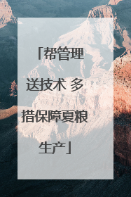 帮管理 送技术 多措保障夏粮生产