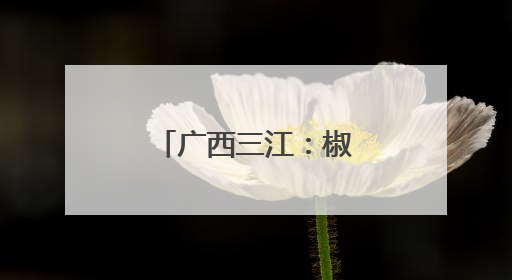 广西三江：椒香满园促增收