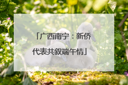 广西南宁：新侨代表共叙端午情