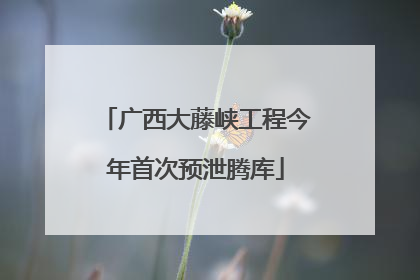 广西大藤峡工程今年首次预泄腾库