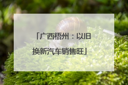 广西梧州：以旧换新汽车销售旺