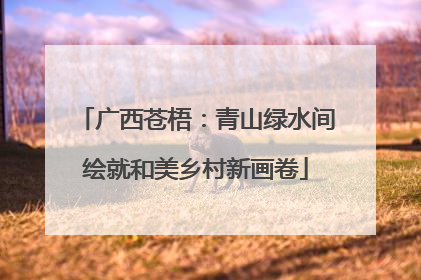 广西苍梧：青山绿水间绘就和美乡村新画卷