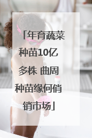 年育蔬菜种苗10亿多株 曲周种苗缘何俏销市场