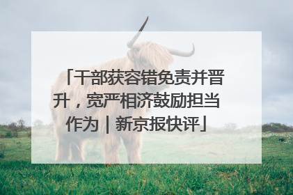 干部获容错免责并晋升，宽严相济鼓励担当作为｜新京报快评