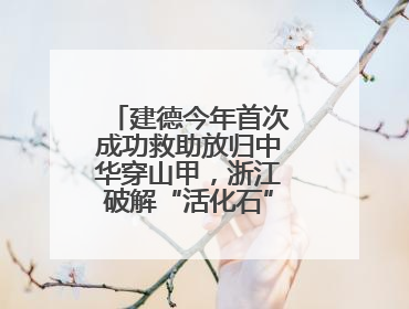 建德今年首次成功救助放归中华穿山甲，浙江破解“活化石”续存密码