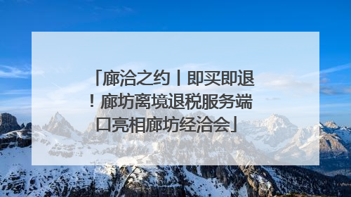 廊洽之约丨即买即退！廊坊离境退税服务端口亮相廊坊经洽会