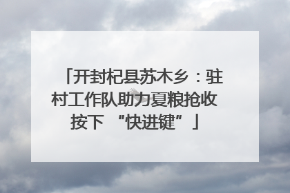 开封杞县苏木乡：驻村工作队助力夏粮抢收按下 “快进键”