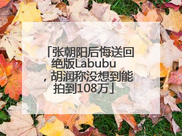 张朝阳后悔送回绝版Labubu，胡润称没想到能拍到108万