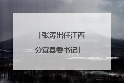 张涛出任江西分宜县委书记