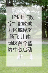 插上“数字”翅膀助力区域经济腾飞 川南地区首个智算中心启动
