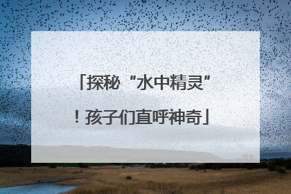 探秘“水中精灵”！孩子们直呼神奇
