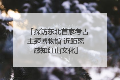 探访东北首家考古主题博物馆 近距离感知红山文化