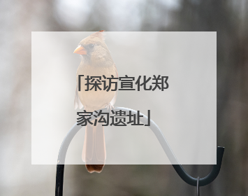 探访宣化郑家沟遗址