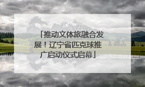 推动文体旅融合发展！辽宁省匹克球推广启动仪式启幕