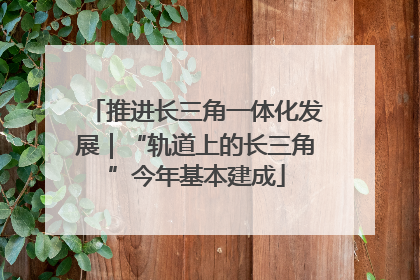 推进长三角一体化发展｜“轨道上的长三角”今年基本建成