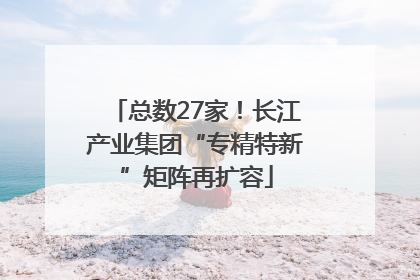总数27家！长江产业集团“专精特新”矩阵再扩容