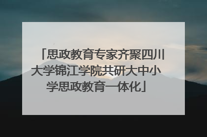 思政教育专家齐聚四川大学锦江学院共研大中小学思政教育一体化