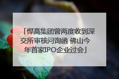 悍高集团曾两度收到深交所审核问询函 佛山今年首家IPO企业过会