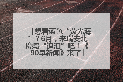 想看蓝色“荧光海”？6月，来瑞安北麂岛“追泪”吧！《90早新闻》来了