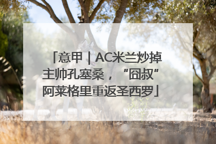 意甲｜AC米兰炒掉主帅孔塞桑，“囧叔”阿莱格里重返圣西罗