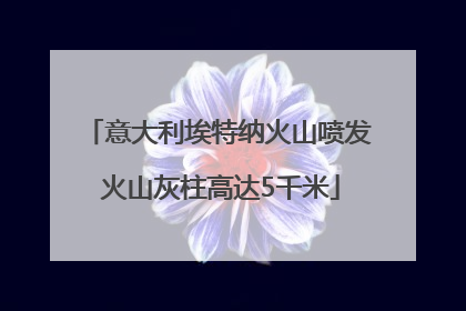 意大利埃特纳火山喷发 火山灰柱高达5千米