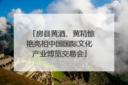 房县黄酒、黄精惊艳亮相中国国际文化产业博览交易会