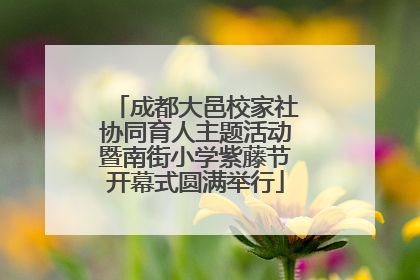 成都大邑校家社协同育人主题活动暨南街小学紫藤节开幕式圆满举行