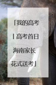 我的高考丨高考首日 海南家长花式送考