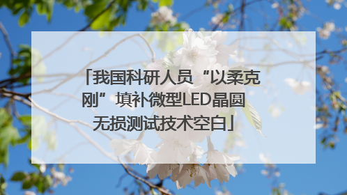 我国科研人员“以柔克刚”填补微型LED晶圆无损测试技术空白