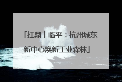 扛鼎丨临平：杭州城东新中心焕新工业森林