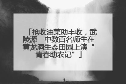 抢收油菜助丰收，武陵源一中数百名师生在黄龙洞生态田园上演“青春助农记”