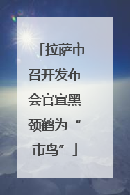 拉萨市召开发布会官宣黑颈鹤为“市鸟”