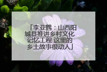 李亚鹤：山西阳城县推进乡村文化记忆工程 这里的乡土故事很动人