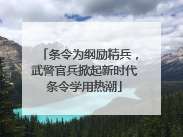 条令为纲励精兵，武警官兵掀起新时代条令学用热潮